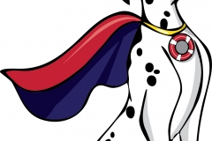 Dalmation