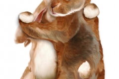 Fuzzy Bunnies_flat